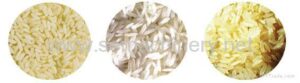 Nutritional_artificial_rice_Enriched_rice_extruder
