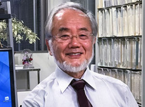 https://www.nobelprize.org/ യോഷിനോരി ഒസൂമി