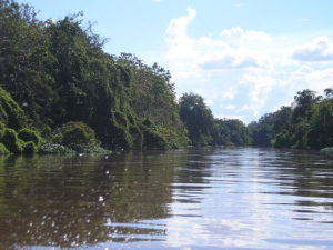 640px-Scenery_around_Kapuas_River